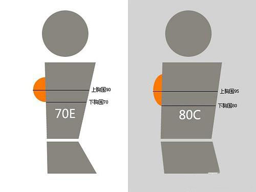 1451461173357302.jpg 20151229112126259.jpg