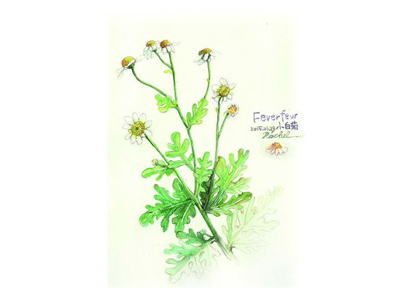 1451543644901320.jpg 91349.jpg