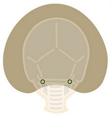 1451551057440899.jpg snap051.jpg