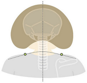 1451551125683921.jpg s百花村52.jpg
