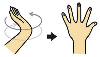 1451551317634405.jpg snap053.jpg