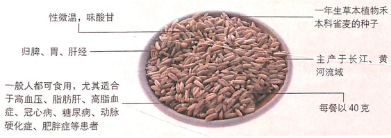 1451699691495335.jpg 3.jpg