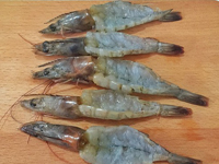 1451890838722125.jpg 2.jpg