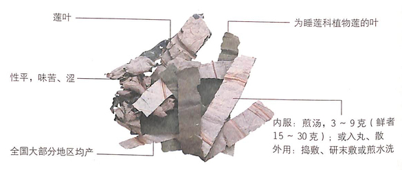 1451965313840920.jpg 1.jpg