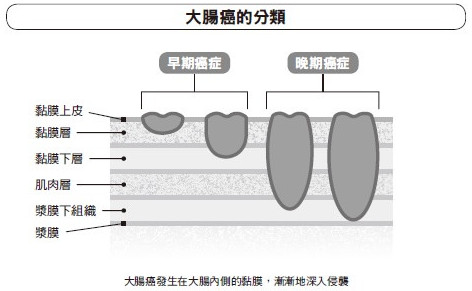 1451973734372390.jpg snap089.jpg