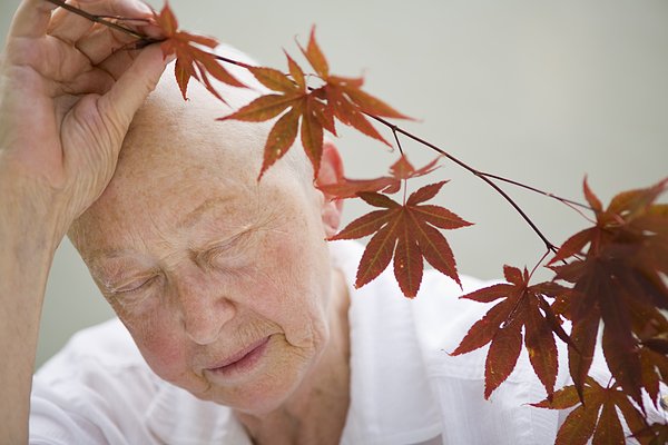 1451974263720574.jpg mf700-02071309.jpg