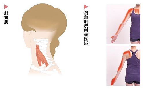 1452059633303245.jpg 23350322320_353f5c2430.jpg