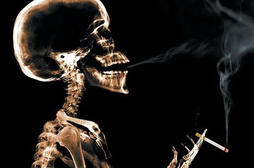 1452069921156618.png Image 001.png