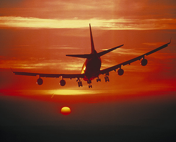 1452742528226028.jpg sps1954-3799.jpg