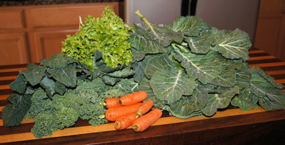 什么食物不能放冰箱冷藏室里 什么食物不能放冰箱冷藏室里