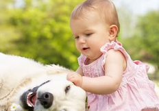 兒童心臟病早期癥狀怎么免費(fèi)治療.png 兒童心臟病早期癥狀怎么免費(fèi)治療.png