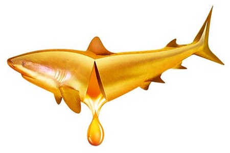 孕期怎么補(bǔ)充營養(yǎng)?魚油可幫助 孕期怎么補(bǔ)充營養(yǎng)?魚油可幫助