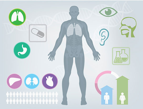 慢性腎臟病的飲食禁忌與推薦 慢性腎臟病的飲食禁忌與推薦