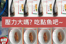 壓力大嗎?營養(yǎng)好推薦吃點魚吧 壓力大嗎?營養(yǎng)好推薦吃點魚吧