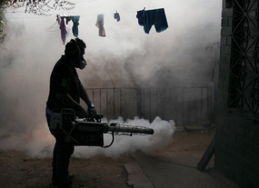 什么是寨卡病毒對(duì)寶寶有什么影響.png 什么是寨卡病毒對(duì)寶寶有什么影響.png