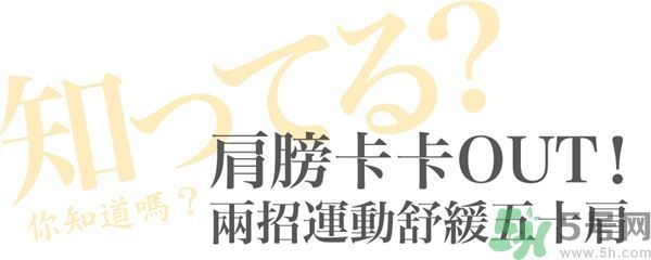 肩膀痛的原因 肩膀痛的原因