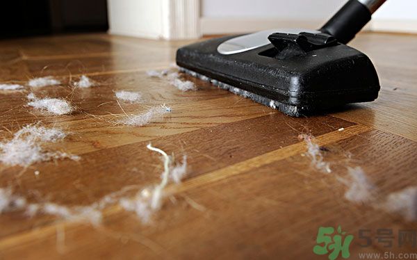 大掃除擰毛巾、擦窗戶 瘦手臂小技巧