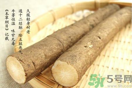 牛蒡怎么吃?吃牛蒡的好處緩解便秘 牛蒡怎么吃?吃牛蒡的好處緩解便秘