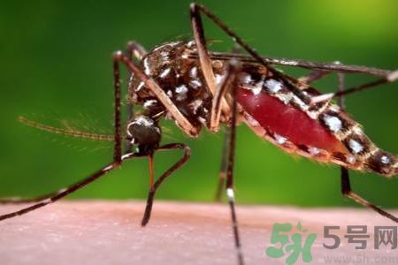 茲卡病毒會通過性愛傳染?專家稱證據(jù)不足 茲卡病毒會通過性愛傳染?專家稱證據(jù)不足