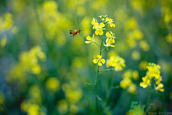 1454574849609442.jpg east-ep-a11-3319892.jpg