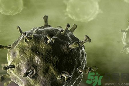 預(yù)防流感的方法有哪些? 預(yù)防流感的方法有哪些?