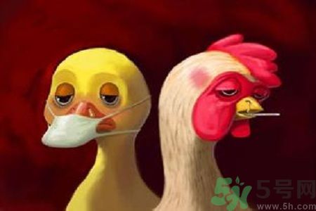 預(yù)防流感的方法有哪些? 預(yù)防流感的方法有哪些?