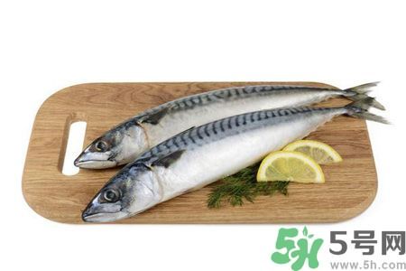 延緩失智好方法 每周吃2次左右海鮮 延緩失智好方法 每周吃2次左右海鮮