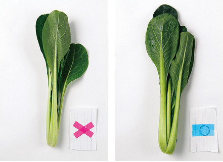 小松菜挑選葉形左右對(duì)稱，有彈性的