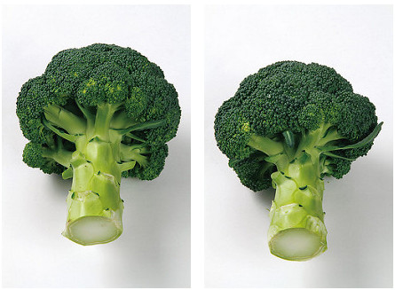 綠花椰挑選切口呈漂亮的圓形，花蕾緊密的