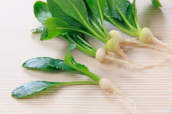 山藥和菠菜能一起吃嗎 菠菜和山藥能混合吃嗎 山藥和菠菜能一起吃嗎 菠菜和山藥能混合吃嗎