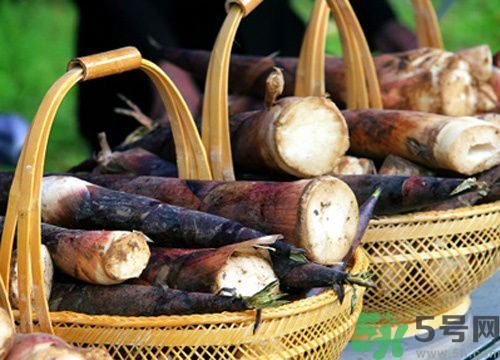 春筍放冰箱發(fā)黑還能吃嗎?吃春筍的四個建議 春筍放冰箱發(fā)黑還能吃嗎?吃春筍的四個建議