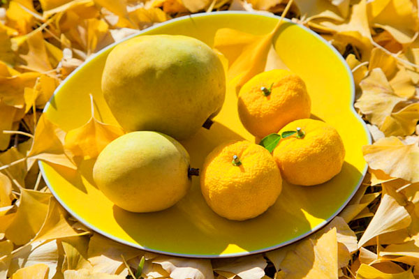 糖尿病可以吃銀杏嗎 銀杏對身體有什么好處 糖尿病可以吃銀杏嗎 銀杏對身體有什么好處