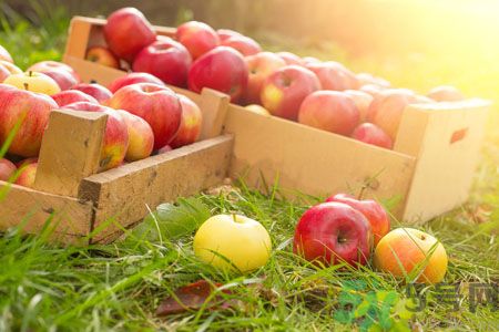 三種水果吃前要做好處理對(duì) 不然就白吃了 三種水果吃前要做好處理對(duì) 不然就白吃了