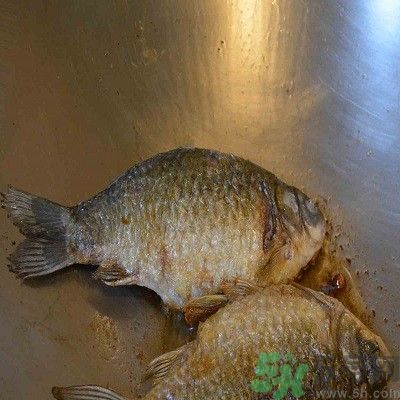 上火了能吃鯽魚嗎 上火吃鯽魚有什么影響 上火了能吃鯽魚嗎 上火吃鯽魚有什么影響