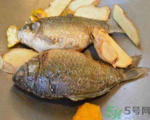 上火了能吃鯽魚嗎 上火吃鯽魚有什么影響 上火了能吃鯽魚嗎 上火吃鯽魚有什么影響