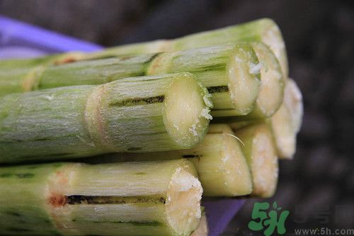 甘蔗汁怎么做?甘蔗汁的功效與作用 甘蔗汁怎么做?甘蔗汁的功效與作用