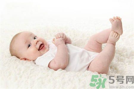 寶寶和寵物怎樣共處?和諧共處4項原則 寶寶和寵物怎樣共處?和諧共處4項原則