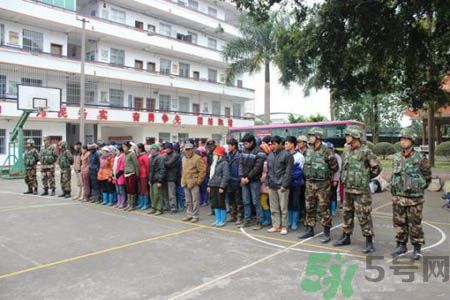 123名越南人越境到中國砍甘蔗被抓 123名越南人越境到中國砍甘蔗被抓