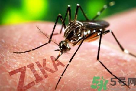 中國確診5例寨卡病毒感染者 中國確診5例寨卡病毒感染者