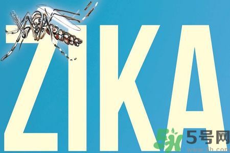 中國確診5例寨卡病毒感染者 中國確診5例寨卡病毒感染者