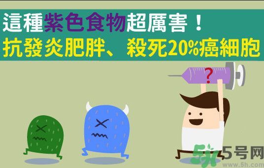 紫玉米的功效與作用 紫玉米有什么作用 紫玉米的功效與作用 紫玉米有什么作用