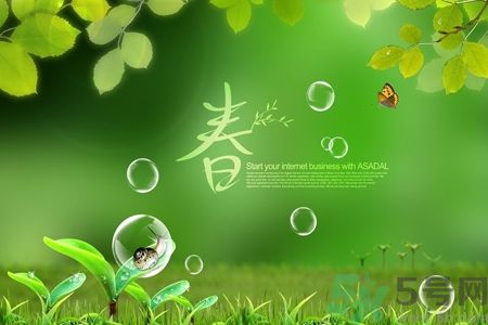 春天喝什么茶好?春天喝什么茶養(yǎng)生? 春天喝什么茶好?春天喝什么茶養(yǎng)生?