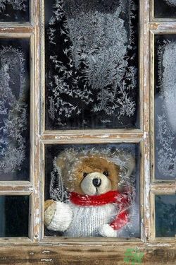 熱休克反應是什么? 熱休克反應是什么?