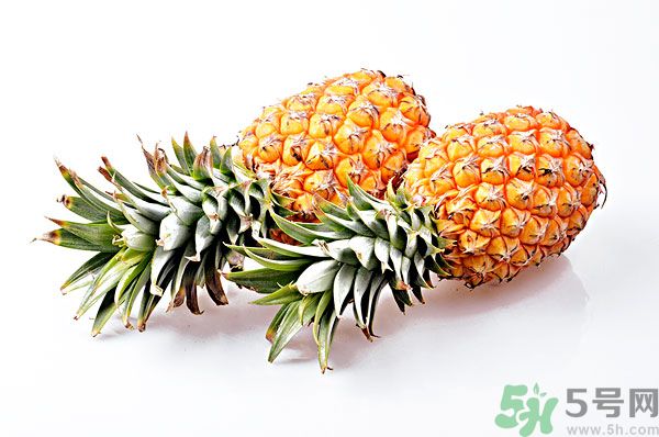 芒果和菠蘿能一起吃嗎？芒果和菠蘿一起吃好嗎？