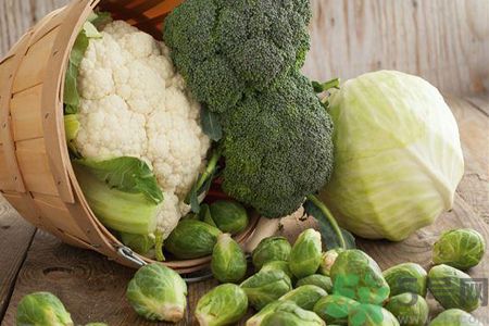 腸道不好怎么調(diào)理?腸道不好吃什么食物好 腸道不好怎么調(diào)理?腸道不好吃什么食物好