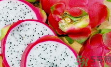 火龍果皮能吃嗎?火龍果皮真的可以吃嗎.png 火龍果皮能吃嗎?火龍果皮真的可以吃嗎.png