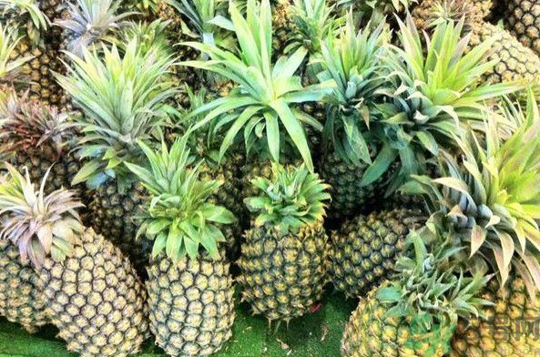 菠蘿和香蕉可以一起吃嗎？菠蘿可以做湯嗎？