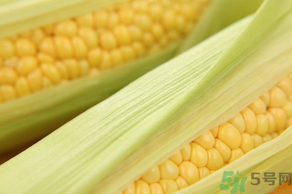 哺乳期能吃玉米回奶嗎？產(chǎn)婦吃玉米會回奶嗎？