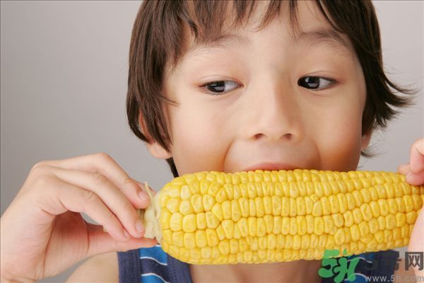 痔瘡可以吃玉米嗎？得了痔瘡能不能吃玉米？