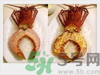 蒜蓉龍蝦蒸粉絲怎么做?龍蝦怎么做更美味? 蒜蓉龍蝦蒸粉絲怎么做?龍蝦怎么做更美味?